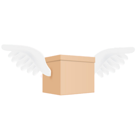 Free Shipping